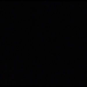 Meet your Posher, Owen